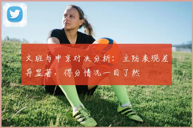 文班与申京对决分析：主防表现差异显著，得分情况一目了然