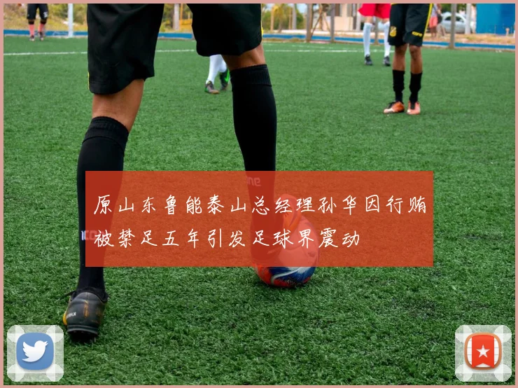 原山东鲁能泰山总经理孙华因行贿被禁足五年引发足球界震动